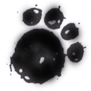 Colorado's Premier Dog Training