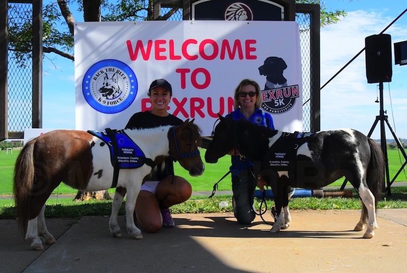 16 - 2986 - Arapahoe County Sheriff's Office Certifited Therapy Horses - Deputies Love Bug and Happy Times - RexRun 2022 - Back the Blue K-9 Force