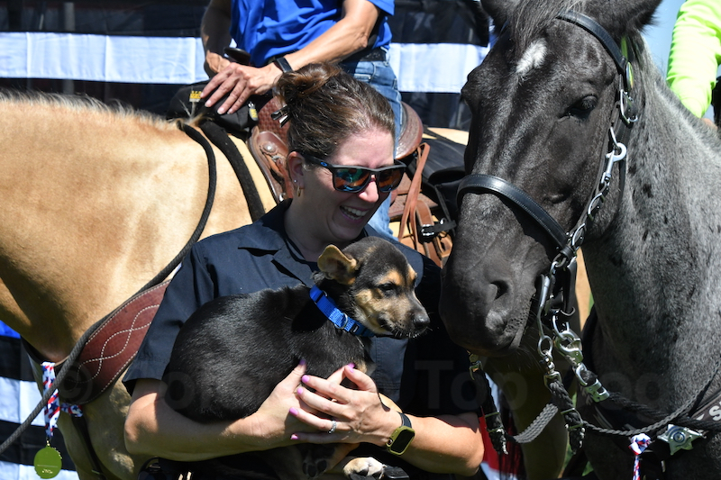 53 - 3783 - Arapahoe County Mounted Patrol - K-9 Officer Tasha Ewert - Socializing a Rescue Puppy