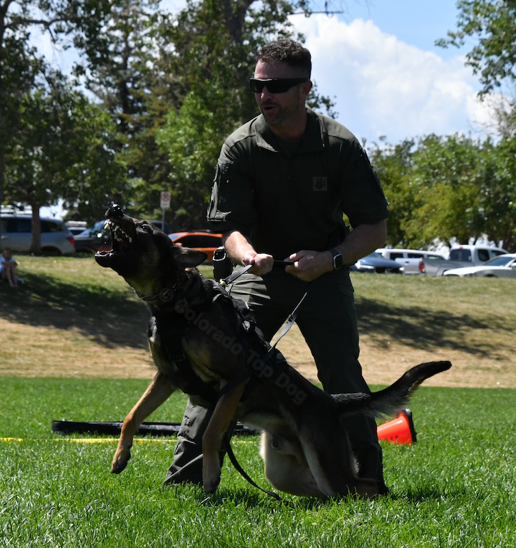 71 - 4068 - Back the Blue K-9 Force - RexRun 2022 - Arapahoe County Sheriff’s Office K-9 Handler Sergeant Brian Starbuck and K-9 Voq